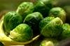 Brukselka
